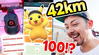 42kmピカチュウ結果！！100！？ダイマックスダンバル？！【ポケモンGO】