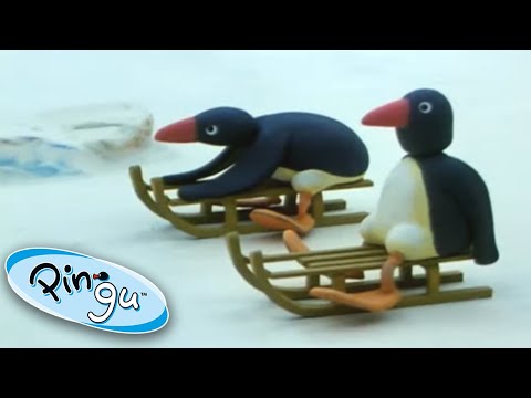 Pingu's Tobogganing | Pingu Official | Cartoons for Kids