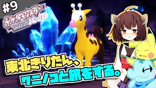 【ポケモンBDSP】東北きりたん、ワニノコと旅をする。part9【VOICEROID＋ゆっくり実況】