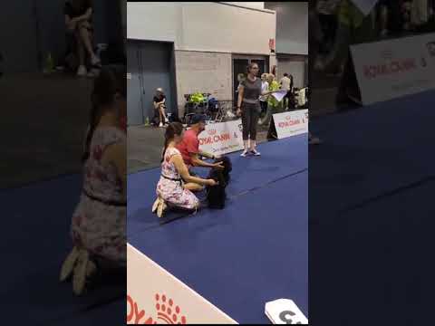 Zeus und Paparazzi BOB Klagenfurt 22.7.2023