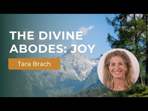 Finding Joy: Tara Brach's Teachings on Divine Abodes