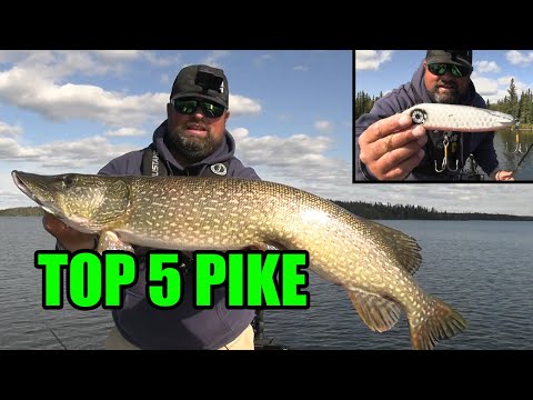 Pike Fishing in Northern Manitoba!!