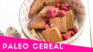 Paleo Cereal