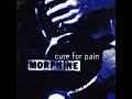 MORPHINE - My Brain (prev. unreleased) [from the 1993 U.S. "Cure for Pain" maxi-single][audio]