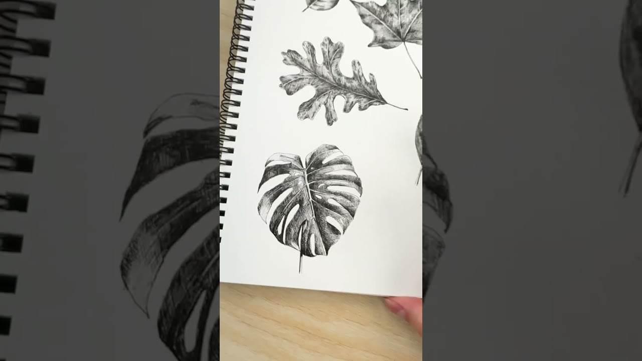 Pen and ink leaves // foliage drawing with fineline ink pens #art #botanical