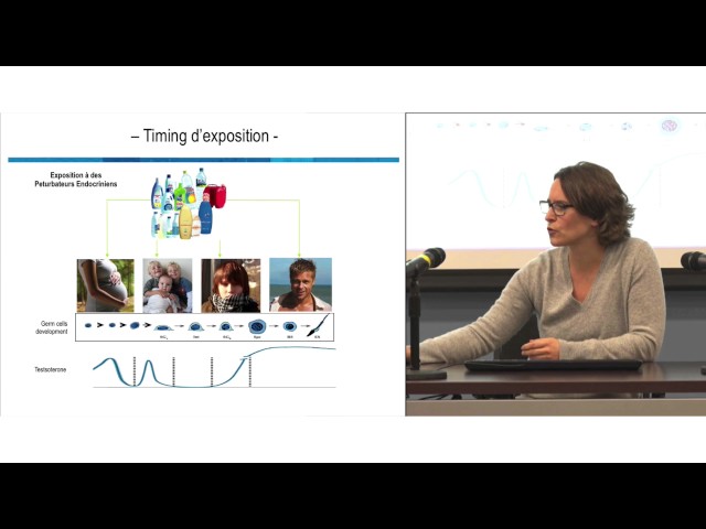 Conférence ISS: «Conséquences à long terme de l&rsquo;exposition précoce aux perturbateurs endocriniens sur la santé humaine: de la tête aux pieds!» – Partie 2