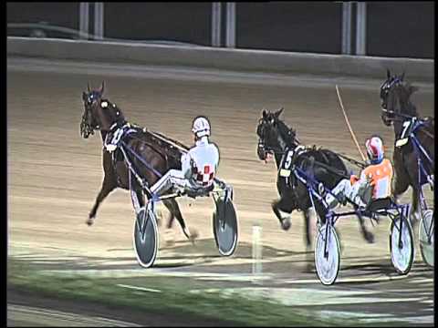 Trotto 21/02/2016 - 8° corsa - TRIS