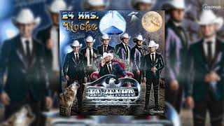 Huapango El Foco Y El Coco (Merequetengue) Lyrics English Translation