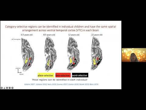 Prof Kalanit Grill-Spector on "Human visual cortex as a window into the developing brain"