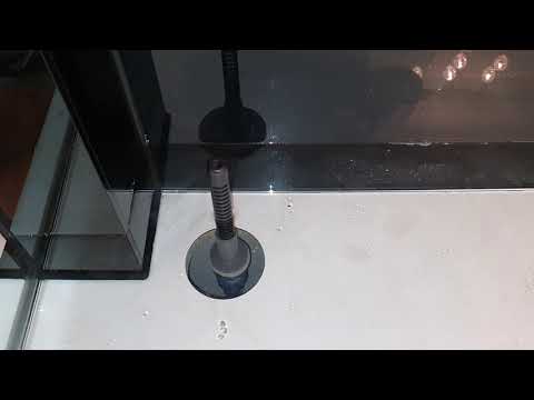 Aquarium Oase Highline 300 einrichten