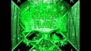 Southern Flame - Dixie Venom