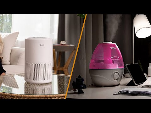 Air Purifier vs Humidifier: Which One is Right for You?