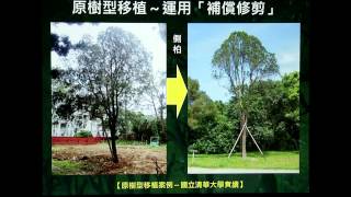 第一篇 修剪SOP標準作業流程上