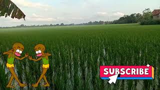 Download lagu MUSIK TENGDUNG 'MAS KULA MELU' VOC. MIMI CARINI mp3 Download lagu MUSIK TENGDUNG 'MAS KULA MELU' VOC. MIMI CARINI mp3