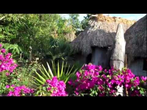 casa humilde pero jardin bonito mas palapa Maya y plantas y flores