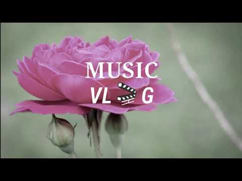 Together - KSMK X FAL