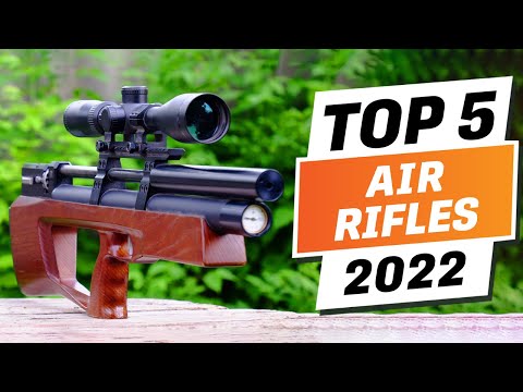 Top 5 BEST Air Rifles You can Buy Right Now [2022]