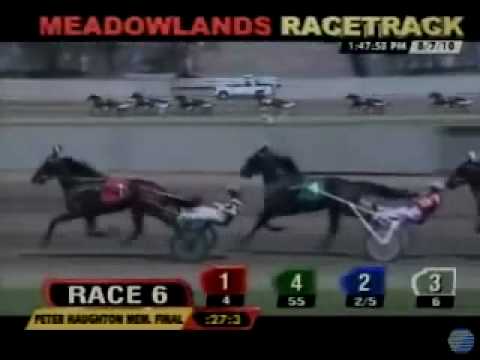 2010 Peter Haughton Memorial - theharnessedge.com