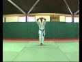 5 Bassai Dai Kata Kumite Bunkai Didier Lupo