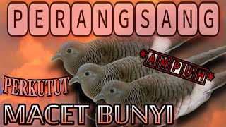 Download lagu ๐๐ถ๐ข๐ณ๐ข ๐๐ฆ๐ณ๐ฌ๐ถ๐ต๐ถ๐ต ๐๐๐๐๐ ๐๐ฆ๐ณ๐ข๐ฏ๐จ๐ด๐ข๐ฏ๐จ ๐๐๐๐๐๐ ๐๐ฆ๐ณ๐ฌ๐ถ๐ต๐ถ๐ต ๐๐ถ๐ด๐ข๐ฉ ๐๐๐๐ - ๐๐ฆ๐ณ๐ข๐ฑ๐ช ๐๐ฆ๐ณ๐ฌ๐ถ๐ต๐ถ๐ต ๐๐ข๐ญ๐ข๐ฎ ๐๐ข๐ณ๐ช mp3 Download lagu ๐๐ถ๐ข๐ณ๐ข ๐๐ฆ๐ณ๐ฌ๐ถ๐ต๐ถ๐ต ๐๐๐๐๐ ๐๐ฆ๐ณ๐ข๐ฏ๐จ๐ด๐ข๐ฏ๐จ ๐๐๐๐๐๐ ๐๐ฆ๐ณ๐ฌ๐ถ๐ต๐ถ๐ต ๐๐ถ๐ด๐ข๐ฉ ๐๐๐๐ - ๐๐ฆ๐ณ๐ข๐ฑ๐ช ๐๐ฆ๐ณ๐ฌ๐ถ๐ต๐ถ๐ต ๐๐ข๐ญ๐ข๐ฎ ๐๐ข๐ณ๐ช mp3