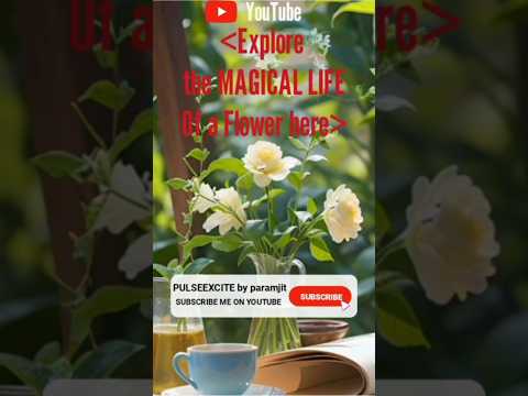 Lessons for us from the magical life of flowers #youtubeshorts #shortsfeed #lessons #flowers #magic