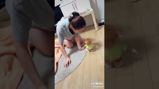 【TikTok】画面明るくしてみてみてください！