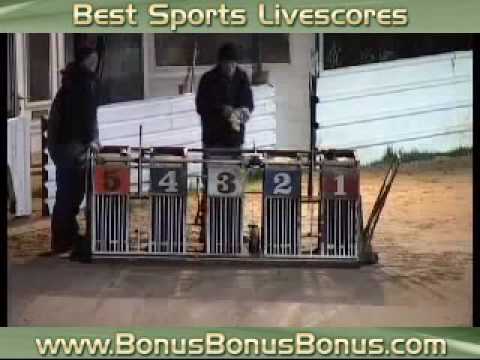 Westhoughton & Bolton Greyhound Racing Derby Final Night