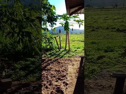 zona rural de Antonina Paraná
