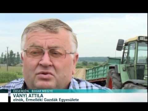 Híradó 2016. augusztus 16. – Erdélyi Magyar Televízió