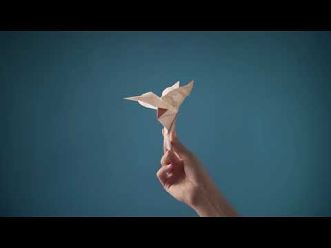 The Papers of Emotions Since 1858 [ENG]