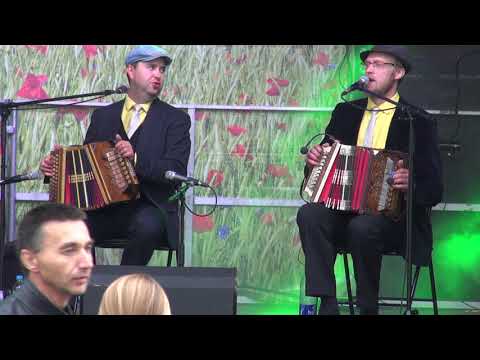 Clementine - KONTERBANT