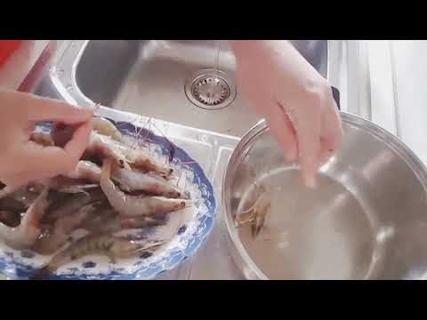 PASTRIMI KARKALECAVE TE DETIT