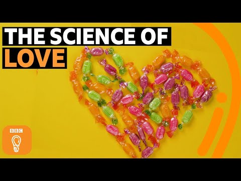 愛と欲望 - 違いはあるのか？| BBCのアイデア (Love and lust - is there a difference? | BBC Ideas)