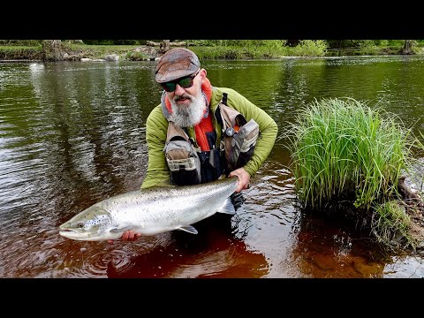 Back to the Roots – Swedish River Mörrum