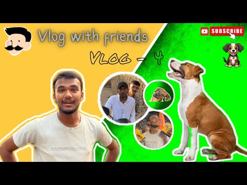 VLOG-4(FED PEDIGREE TO 30 STREET DOGS..!!)