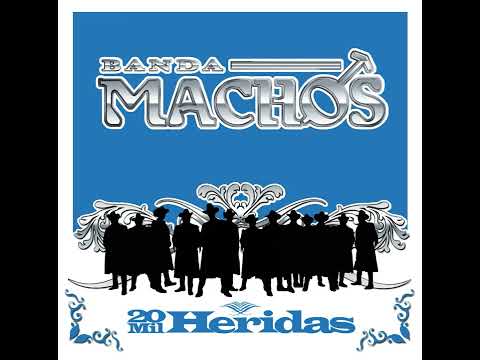 Sueños Compartidos Banda Machos