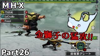 Part26仲間なんていない。モンスターハンタークロス実況