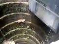 ¿Rescatando a un gato en un pozo?