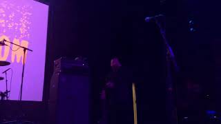 Buffalo Tom Tree House