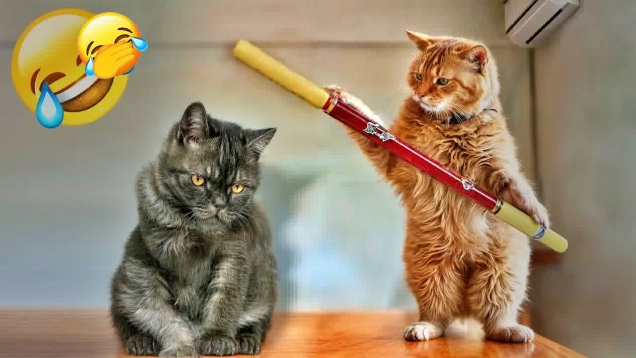 You Laugh You Lose🤣🐶Funniest Dogs and Cats 2024😻