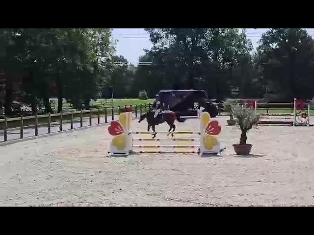 Practice Show Class Soeedy Lady MM.