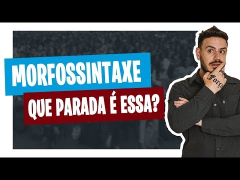 O QUE É MORFOSSINTAXE? [Pablo Jamilk]
