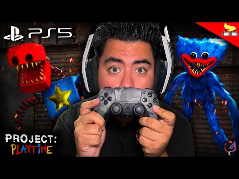 Project Playtime Ps5