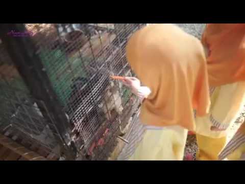 TERBAIK! Pakar Batik Malaysia Noor Arfa