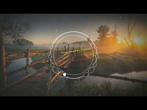 Timmy Trumpet, Prezioso, 71 Digits   Three Little Birds