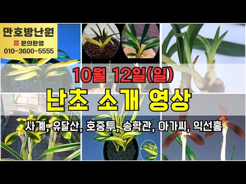 유튜브 썸네일