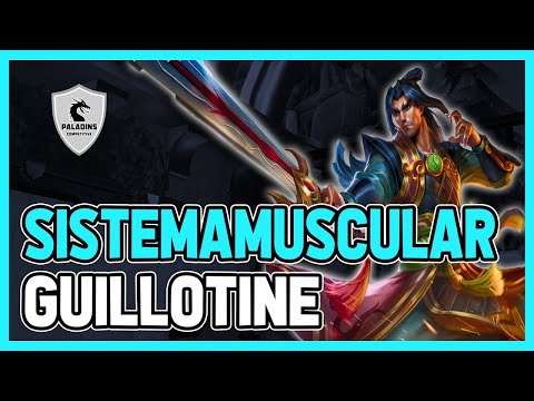 SistemaMuscular Zhin Competitive (MASTER) GUILLOTINE