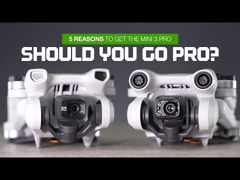 DJI MINI 3 OR MINI 3 PRO - Is the PRO for you?