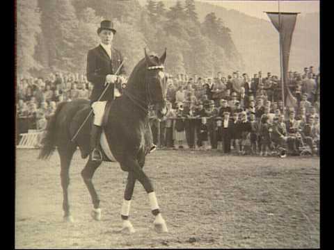 Egon von Neindorff - der Pferdemann