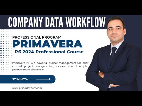 Primavera P6 Oil Gas Project Tutorial Full Planning Engineer Project